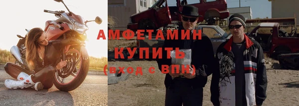 прущие грибы Баксан