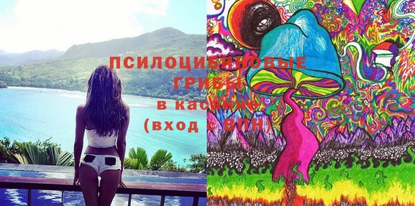 прущие грибы Белоозёрский