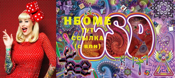 прущие грибы Белоозёрский