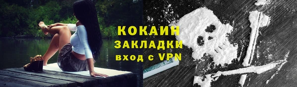 прущие грибы Белоозёрский