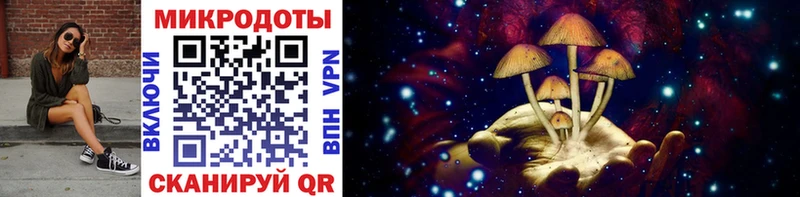 Галлюциногенные грибы Psilocybe как найти закладки Заволжск